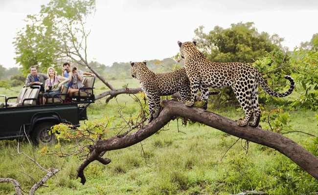 2 Day Budget Kruger National Park Safari