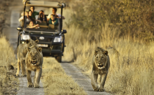 2 Day Budget Kruger National Park Safari