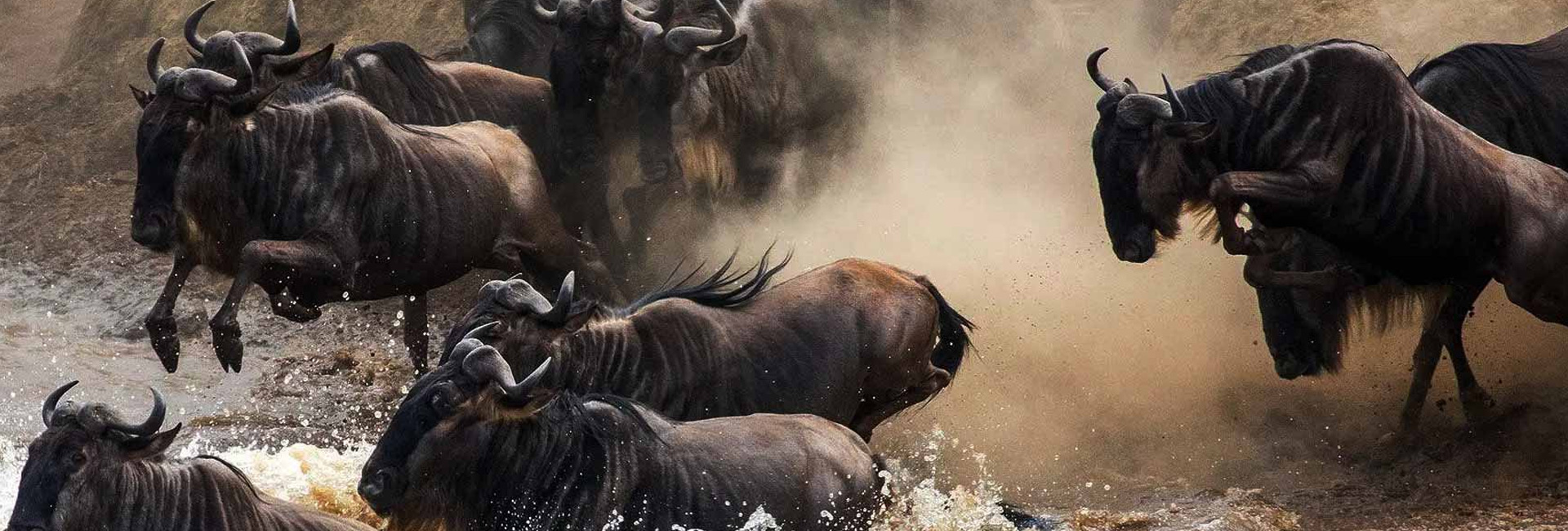 5 Day Wildebeest Migration Safari in Tanzania