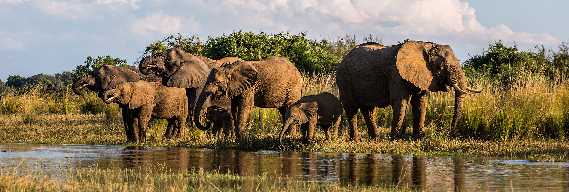 Lower Zambezi National Park