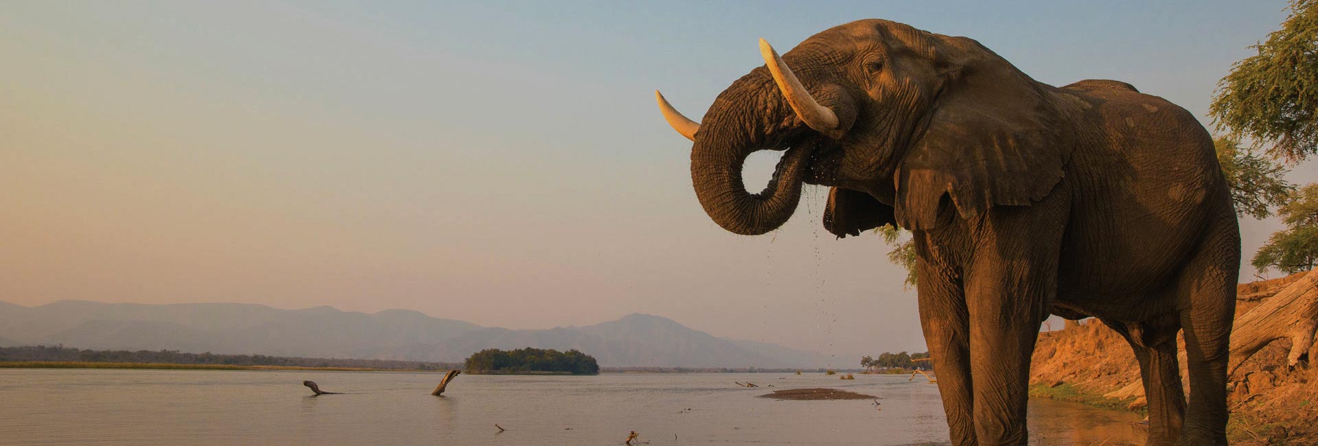 Mana-Pools National Park