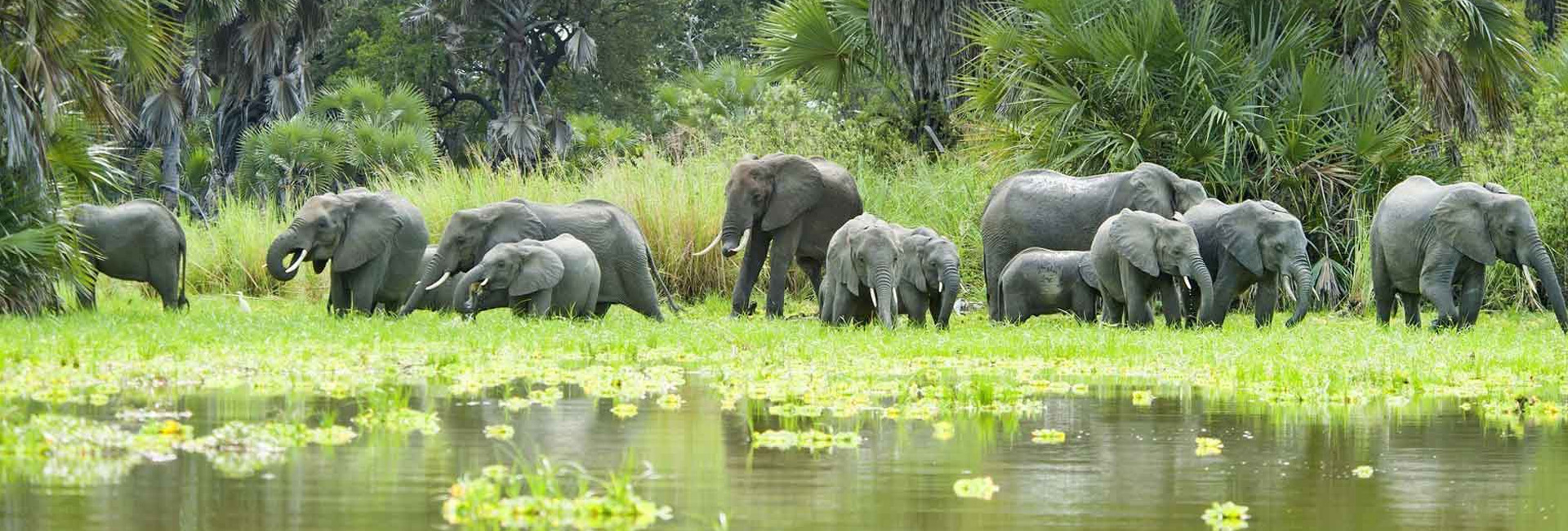 Selous Game Reserve